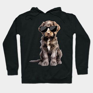 German Shorthaired Pointer Puppy Wearing Sunglasses Hoodie